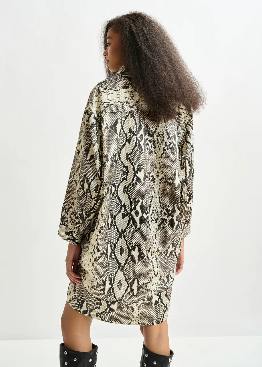 ILLUMINATA DRESS